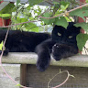 Meet your Posher, Jean